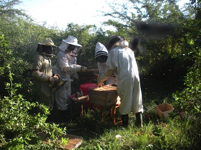 Tanzania Beekeepers to use Barcodes