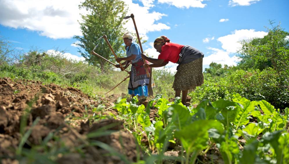 Banks not loaning to Agriculture