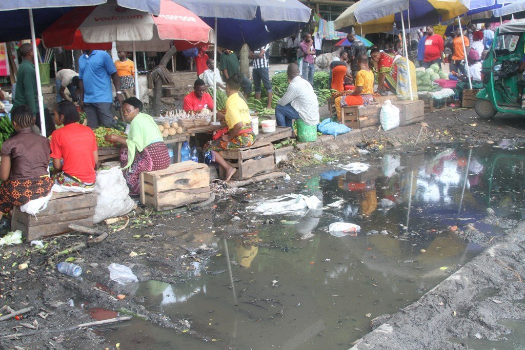 Dirty vegetables pose health risk in Dar es Salaam