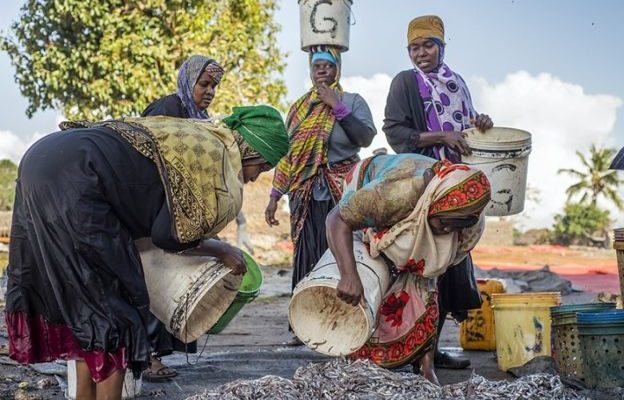 Women entrepreneurs in Tanzania