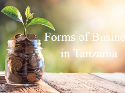 Forms of Business in Tanzania