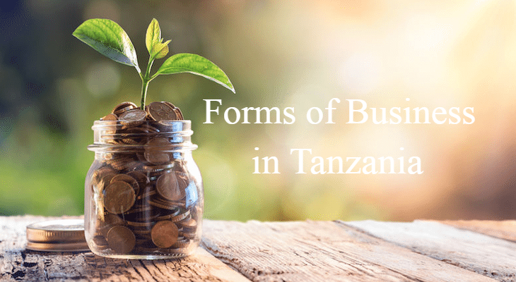 Forms of Business in Tanzania